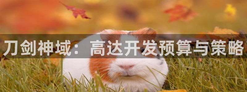 巅峰国际平台：刀剑神域：高达开发预算与策略