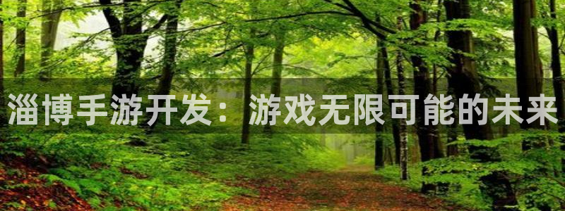 巅峰国际注册：淄博手游开发：游戏无限可能的未来