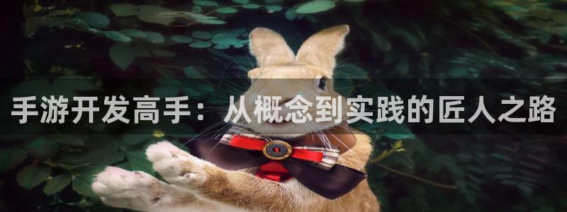 巅峰国际注册：手游开发高手：从概念到实践的匠人之路