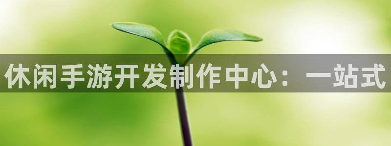 巅峰国际app：休闲手游开发制作中心：一站式