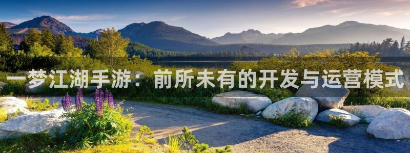 巅峰国际官网：一梦江湖手游：前所未有的开发与运营模式