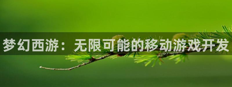 巅峰国际首页：梦幻西游：无限可能的移动游戏开发