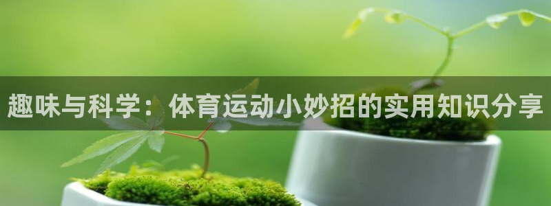 vsport体育：趣味与科学：体育运动小妙招的实用知识分享