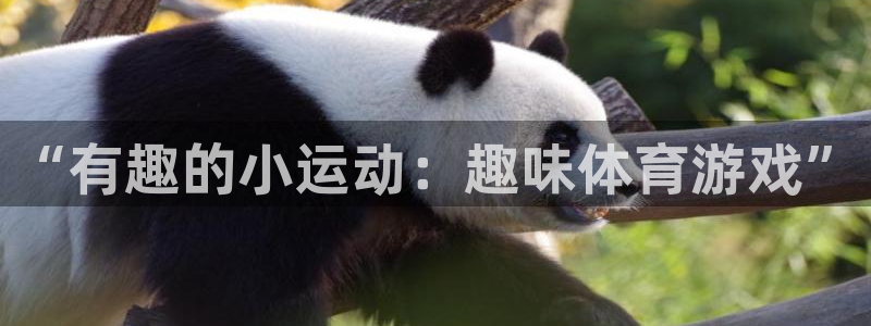 vsport体育：“有趣的小运动：趣味体育游戏”