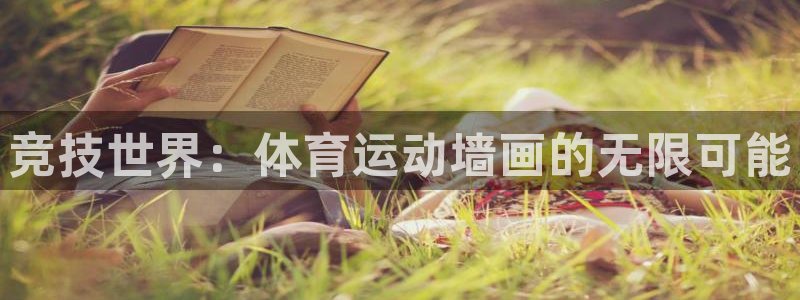 vsport体育在线官网：竞技世界：体育运动墙画的无限可能