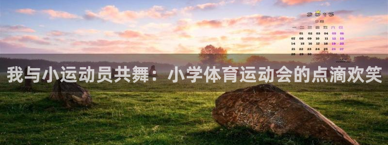 vsport体育：我与小运动员共舞：小学体育运动会的点滴欢笑