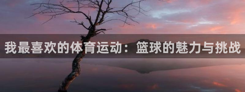 vsport体育在线官网：我最喜欢的体育运动：篮球的魅力与挑战