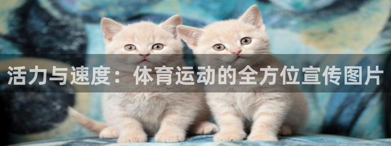 vsport体育在线官网：活力与速度：体育运动的全方位宣传图片