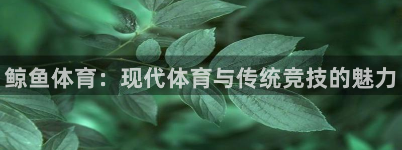 vsport体育在线官网：鲸鱼体育：现代体育与传统竞技的魅力