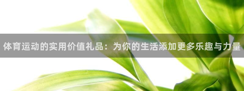 vsport体育：体育运动的实用价值礼品：为你的生活添加更多乐趣与力量