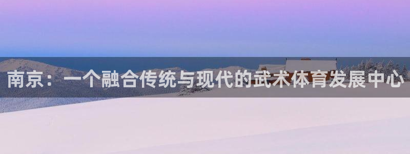 vsport体育：南京：一个融合传统与现代的武术体育发展中心