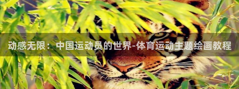 vsport体育：动感无限：中国运动员的世界-体育运动主题绘画教程