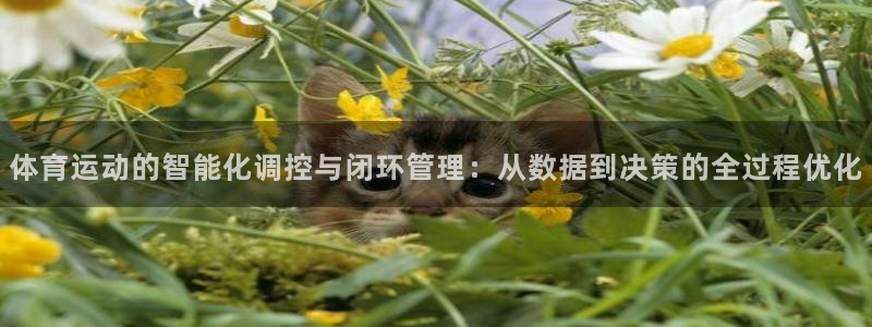 vsport体育：体育运动的智能化调控与闭环管理：从数据到决策的全过程优化