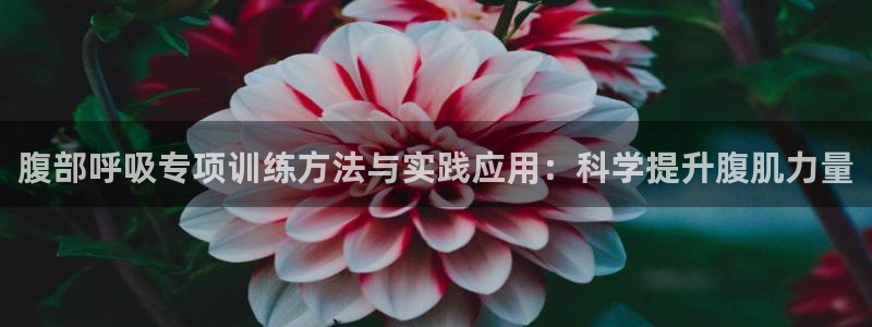 vsport体育：腹部呼吸专项训练方法与实践应用：科学提升腹肌力量