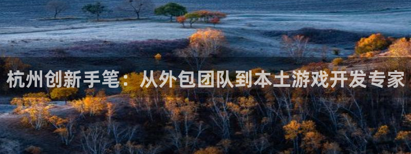 巅峰国际首页：杭州创新手笔：从外包团队到本土游戏开发专家